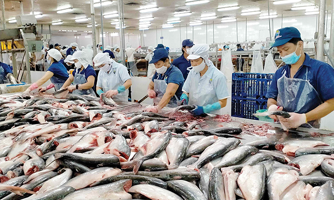 Doanh nghiệp xuất khẩu gặp khó: Quay về sân nhà cũng không dễ