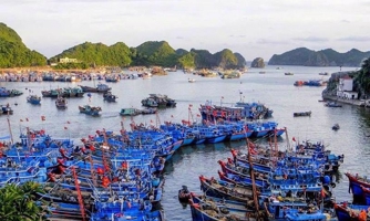 Lo doanh nghiệp phải "chạy chọt" quy hoạch, VCCI đề xuất không quy định "cứng" danh mục đầu tư bến thuỷ