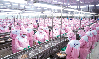 Thúc đẩy tăng trưởng tín dụng lúa gạo và thuỷ sản ở Đồng bằng sông Cửu Long