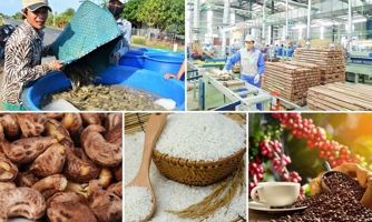 Đưa công nghệ vào sản xuất nông sản để giảm dần xuất khẩu thô