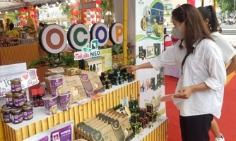 Nhiều doanh nghiệp trên cả nước quảng bá sản phẩm OCOP tại Thừa Thiên Huế 