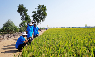 An Giang đẩy mạnh tín dụng chính sách phục vụ người dân