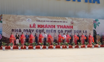 Nhà máy chế biến cà phê lớn nhất Tây Bắc chính thức vận hành