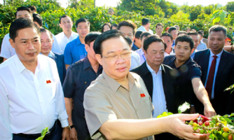 Đầu tư liên kết phát triển bền vững cà phê Sơn La