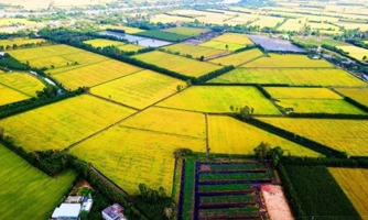 Năm 2023: Đồng bằng sông Cửu Long thu hút khoảng 100 nghìn tỷ đồng đầu tư vào nông nghiệp 