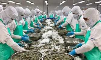 Xuất khẩu thủy sản “nhọc nhằn” về đích, thách thức lớn từ thị trường Mỹ 