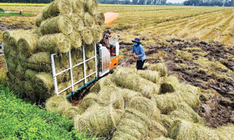 Kết nối và chia sẻ mô hình kinh tế xanh