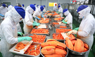 Thỏa thuận Xanh châu Âu: Nông sản, thực phẩm và dệt may cần nắm bắt cơ hội “người đi trước”