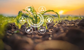 Nông dân Đông Nam Á ứng dụng agritech, thúc đẩy sản xuất và giảm tác động đến môi trường