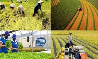 ASEAN đánh giá Việt Nam là điểm sáng về phát triển nông thôn 