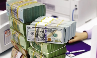 Tổng tài sản của các định chế tài chính tại Việt Nam xấp xỉ 817 tỷ USD