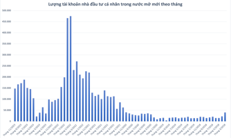 Thêm 341.000 tài khoản chứng khoán cá nhân bị "xóa sổ" trong tháng 11, mở mới hơn 148.000