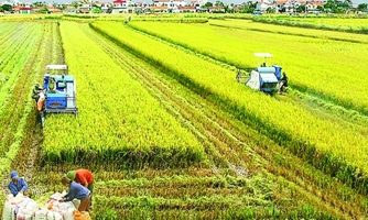 Nông nghiệp tăng trưởng cao nhất trong 10 năm  