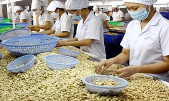 Thứ trưởng Bộ Kế hoạch và Đầu tư: “Trên 3 doanh nghiệp kiến nghị cùng vấn đề thì chúng tôi coi đây là nhiệm vụ chính sách”