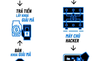 Cảnh giác mã độc mã hóa tống tiền kép dịp Tết