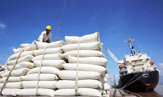 Sớm đẩy nhanh đàm phán để mở rộng danh mục chủng loại gạo xuất khẩu vào EU