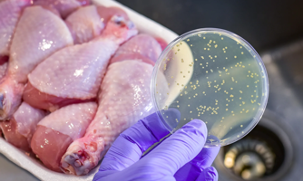 Thực phẩm nào là nguồn chính gây ra nhiễm khuẩn Salmonella?