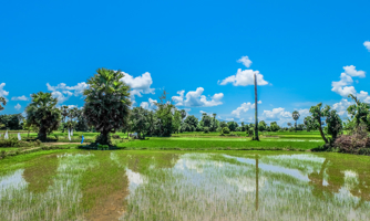 Quỹ Mekong Enterprise Fund IV  rót 5 triệu USD vào HUSK 