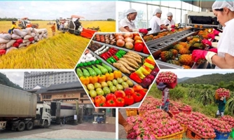 Báo cáo Xuất nhập khẩu Việt Nam 2023: Nhiều điểm sáng trong bối cảnh tổng cầu thế giới suy giảm