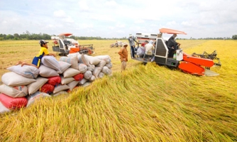 Kim ngạch xuất khẩu gạo 5 tháng tăng 38%, đạt 2,7 tỷ USD
