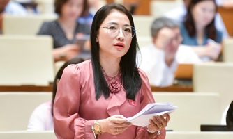 Đại biểu Quốc hội đề nghị bổ sung truy cứu trách nhiệm hình sự hành vi mua bán thai nhi
