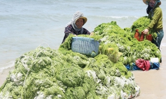 Ra mắt chương trình “Blue Ocean – Blue Foods” hướng đến bán tín chỉ carbon dưới biển