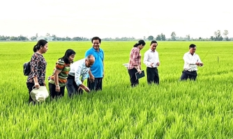 Đề án 1 triệu ha lúa chất lượng cao tạo bước chuyển mang tính đột phá tại vùng đất "Chín Rồng"