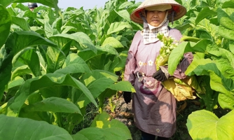 Tăng thuế tiêu thụ đặc biệt cần có lộ trình phù hợp để các bên liên quan có sự chuẩn bị