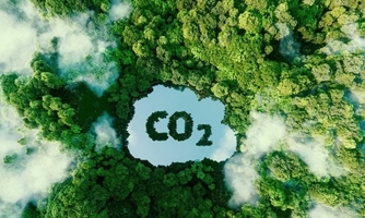 Kết nối thị trường carbon ASEAN, xây dựng hệ sinh thái carbon thống nhất và mạnh mẽ