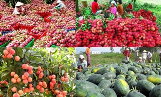 Trái cây Việt Nam sẽ thâm nhập sâu hơn vào thị trường Trung Quốc