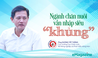 Ngành chăn nuôi vẫn nhập siêu “khủng”