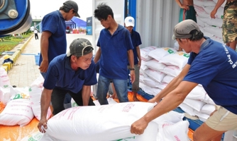 Hỗ trợ 200 tấn gạo cho 14 địa phương bị ảnh hưởng do bão số 3