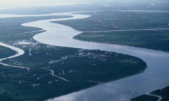 Bão số 3 khiến mực nước sông Mekong tăng, dự báo đạt đỉnh lũ vào tháng 10