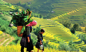 Doanh nghiệp thực hành ESG để phát triển du lịch bền vững