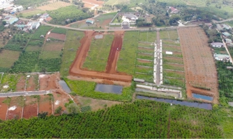 Lâm Đồng: Giá đất nền tại TP. Đà Lạt bình quân 4,3 tỷ đồng/lô