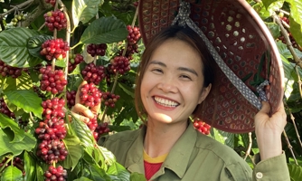 Những hạt cà phê trọn vị đắng cay ngọt bùi của cô nông dân Đắk Lắk bỏ phố về quê