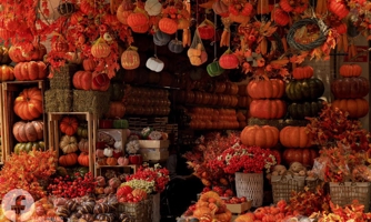 Thị trường trang trí Halloween: Thận trọng với hàng giá rẻ không rõ xuất xứ