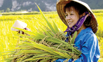 Giảm bất bình đẳng để phát triển bền vững