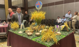 Việt Nam hướng tới sản phẩm gạo đáp ứng đòi hỏi riêng của thị trường Philippines