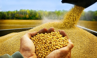 Từ 16/12, điều chỉnh giảm thuế nhập khẩu nhiều mặt hàng 