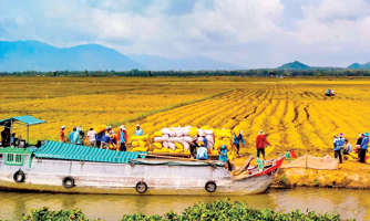 Giải bài toán nguồn vốn để đánh thức “vùng đất chín rồng”