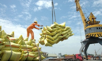 Xuất khẩu gạo lập kỷ lục mới, vượt mốc 5 tỷ USD