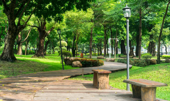 TP. Hồ Chí Minh ủy quyền quản lý, bảo trì, bảo dưỡng hệ thống hạ tầng kỹ thuật