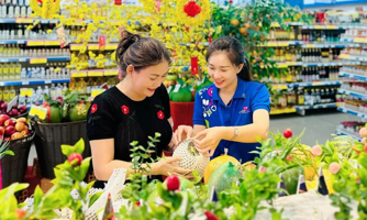 Thị trường giỏ quà Tết khởi động sớm: Ưu tiên sức khỏe và giá rẻ