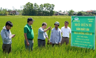 Chuyển đổi nông nghiệp sinh thái để giảm phát thải khí nhà kính