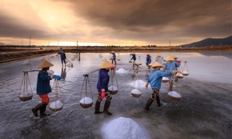 Festival nghề muối Việt Nam - Bạc Liêu năm 2025: Nâng tầm giá trị hạt muối