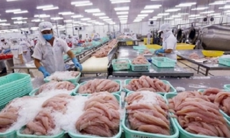 Việt Nam và Hoa Kỳ đạt thỏa thuận về chống bán phá giá cá basa