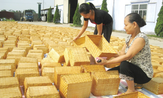 Nghề cỏ tế vươn theo kinh tế xanh