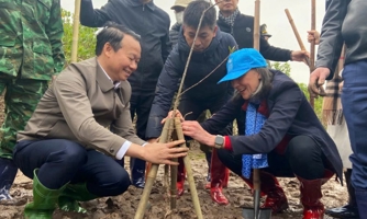 Tết trồng cây 2025: Trồng rừng ngập mặn để bảo vệ người dân ven biển trước thiên tai