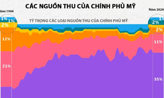 Các nguồn thu của Chính phủ Mỹ, thuế thu nhập cá nhân chiếm gần một nửa